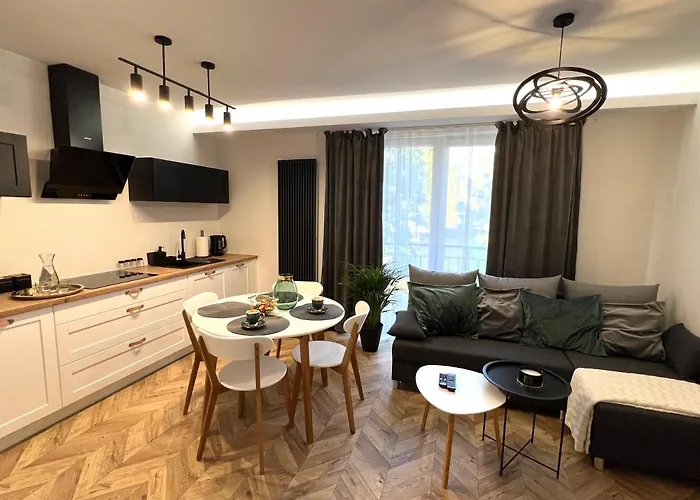 Stylowy 2 Apartment